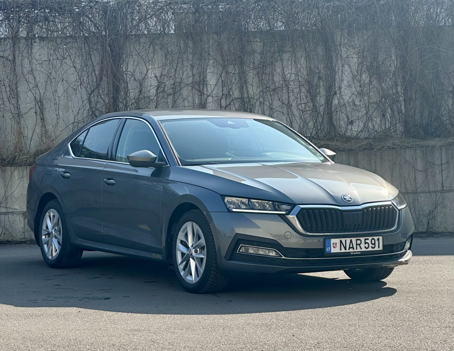 Skoda Octavia 2024
